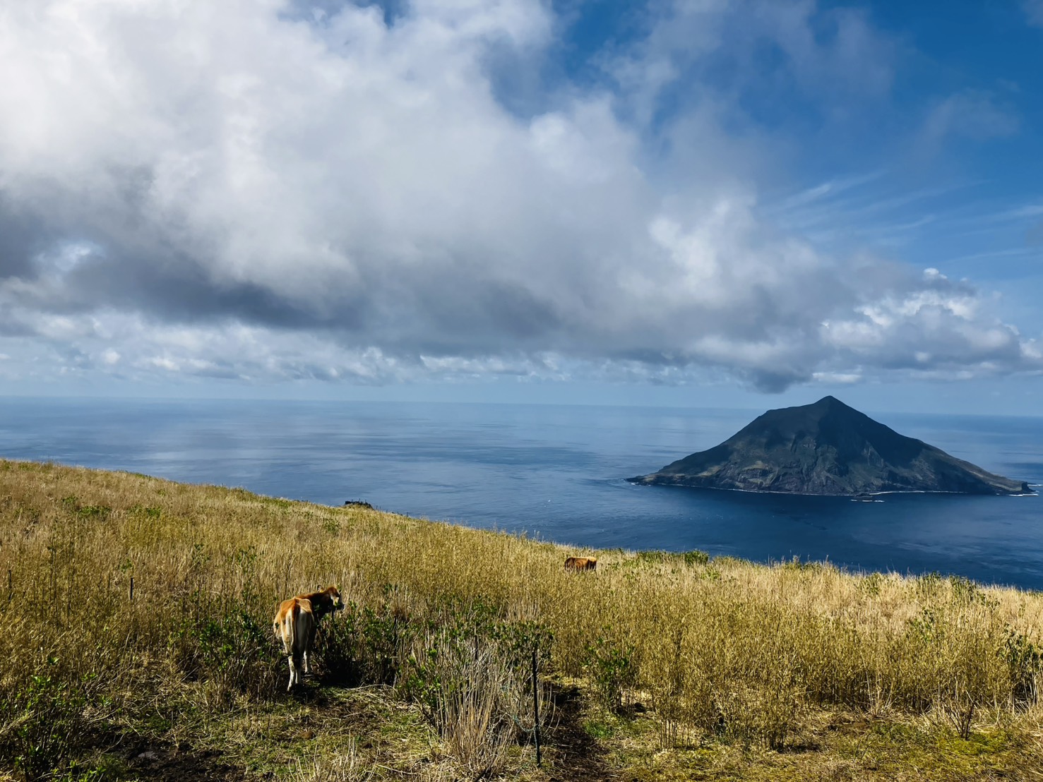 🐢非日常体験🐳のイメージ写真